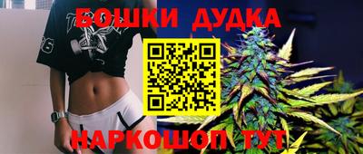 ГАЛЛЮЦИНОГЕННЫЕ ГРИБЫ Кингисепп
