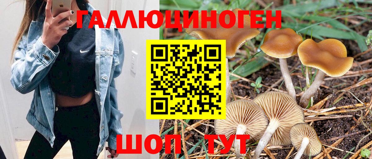 Строитель  Псилоцибиновые грибы MAGIC MUSHROOMS  Вход с VPN 