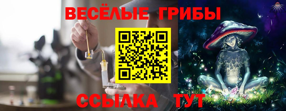 Псилоцибиновые грибы Psilocybine cubensis Строитель
